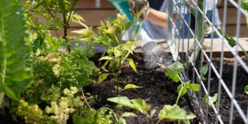 Two Local Organizations Chosen to Receive USDA Grant
